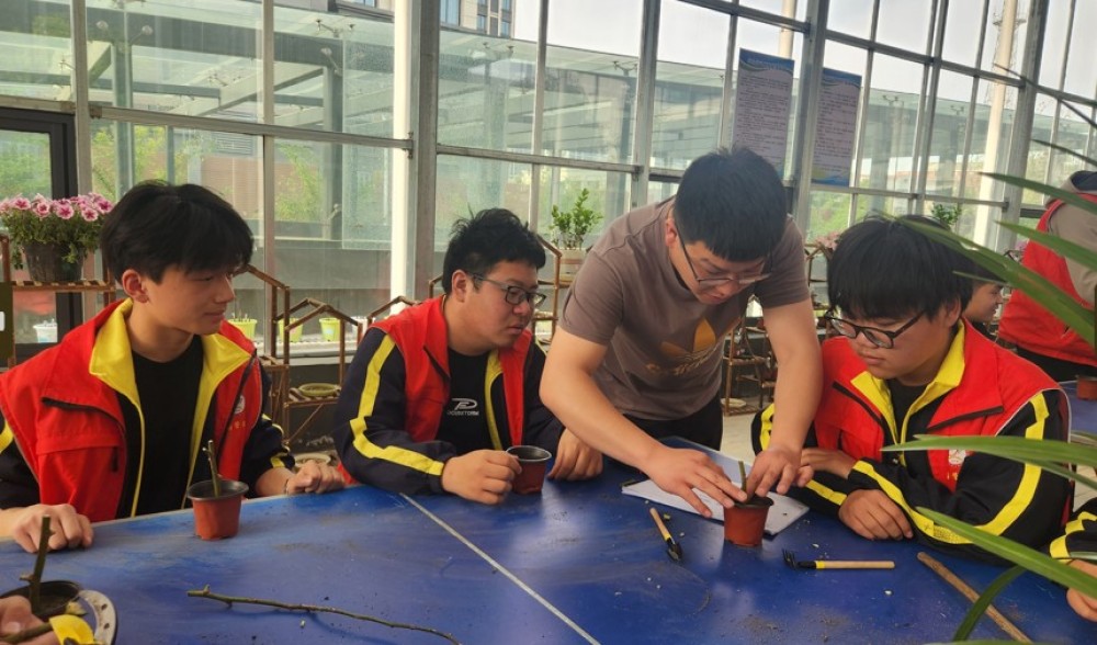 1776215540498225.jpg 绿枝扦插实践活动01.jpg