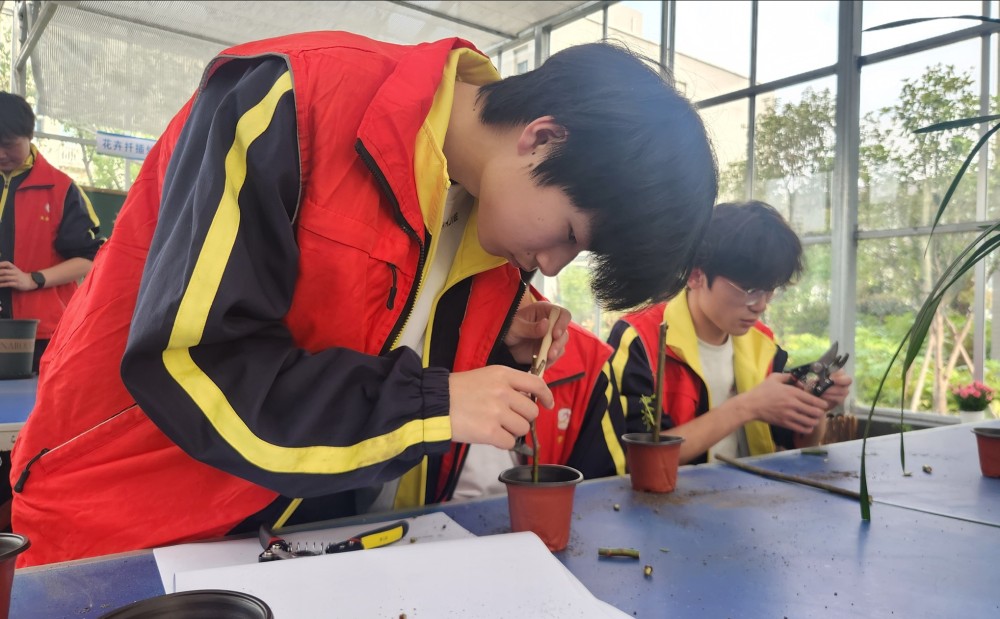 1776215601437406.jpg 绿枝扦插实践活动02.jpg